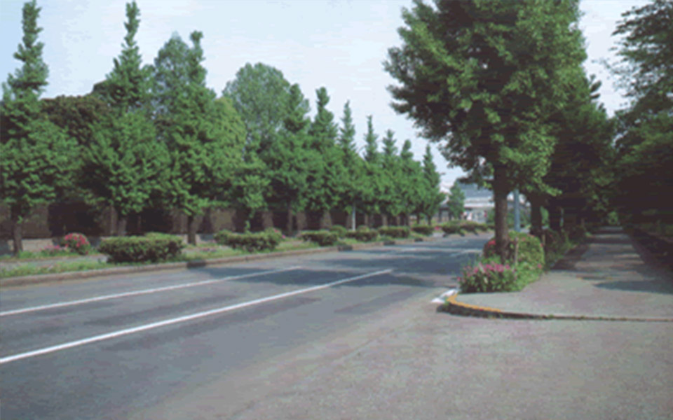 永康市溪心路道路工程
